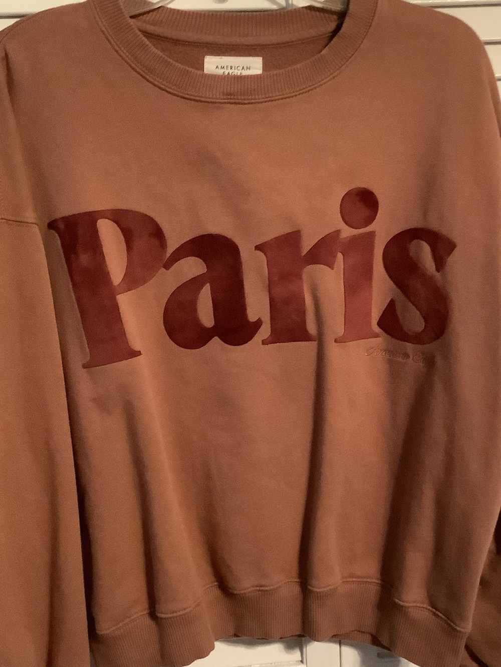 New without tags! American Eagle Rose/ Mauve 'Paris' sweatshirt